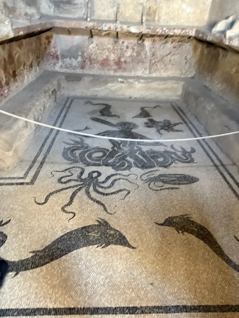 Ancient black-and-white floor mosaic depicting dolphins, an octopus, and other sea creatures at Herculaneum