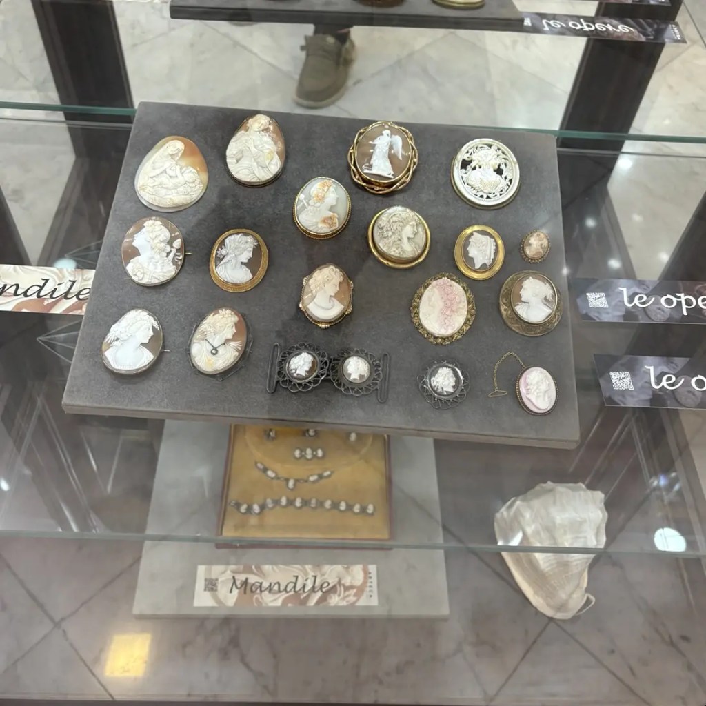 Display case filled with carved shell cameo brooches and jewelry near Naples