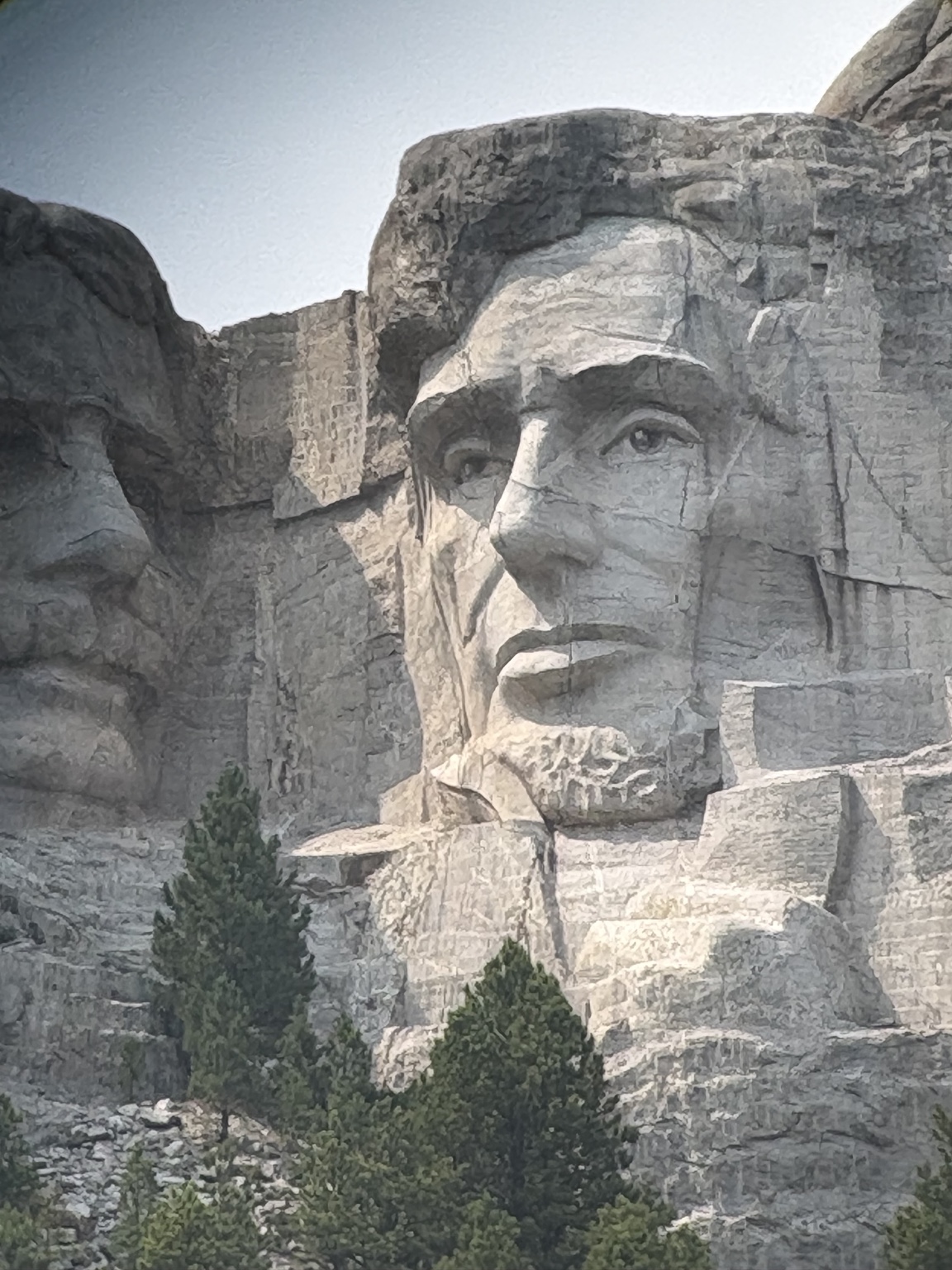 Abraham Lincoln's carved face at Mount Rushmore above pine trees.
