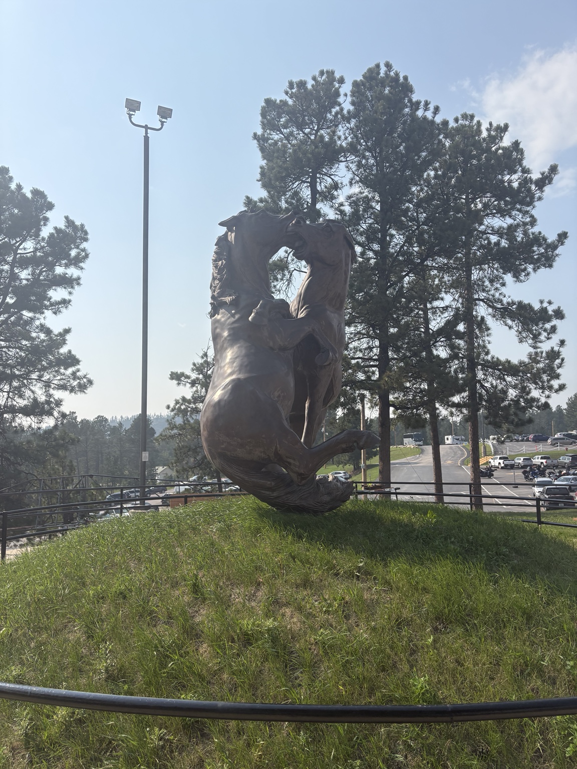 An outdoor sculpture of a rearing horse framed by pine trees.