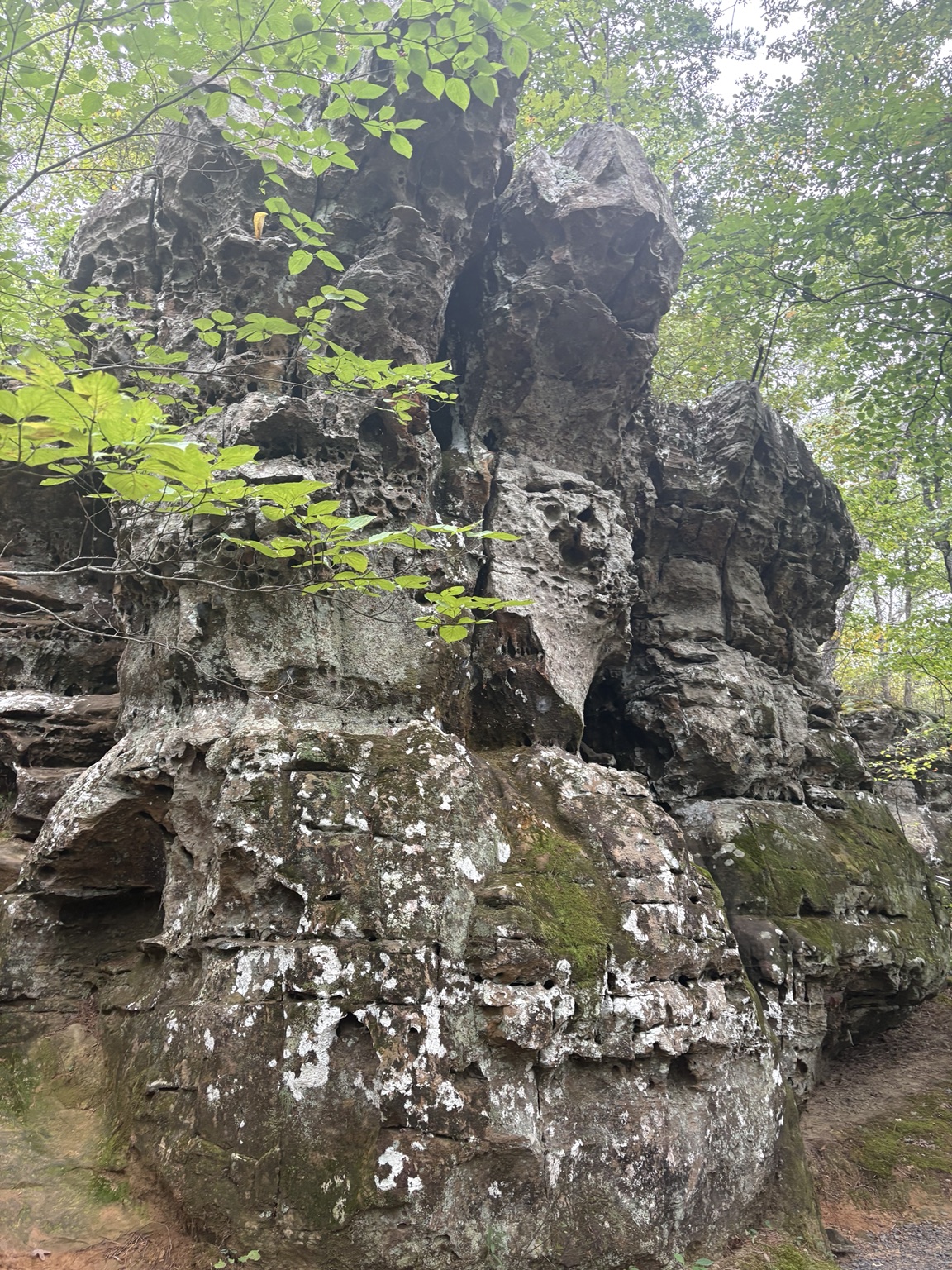 Close view of a weathered rock formation at Natural Bridge of Arkansas.