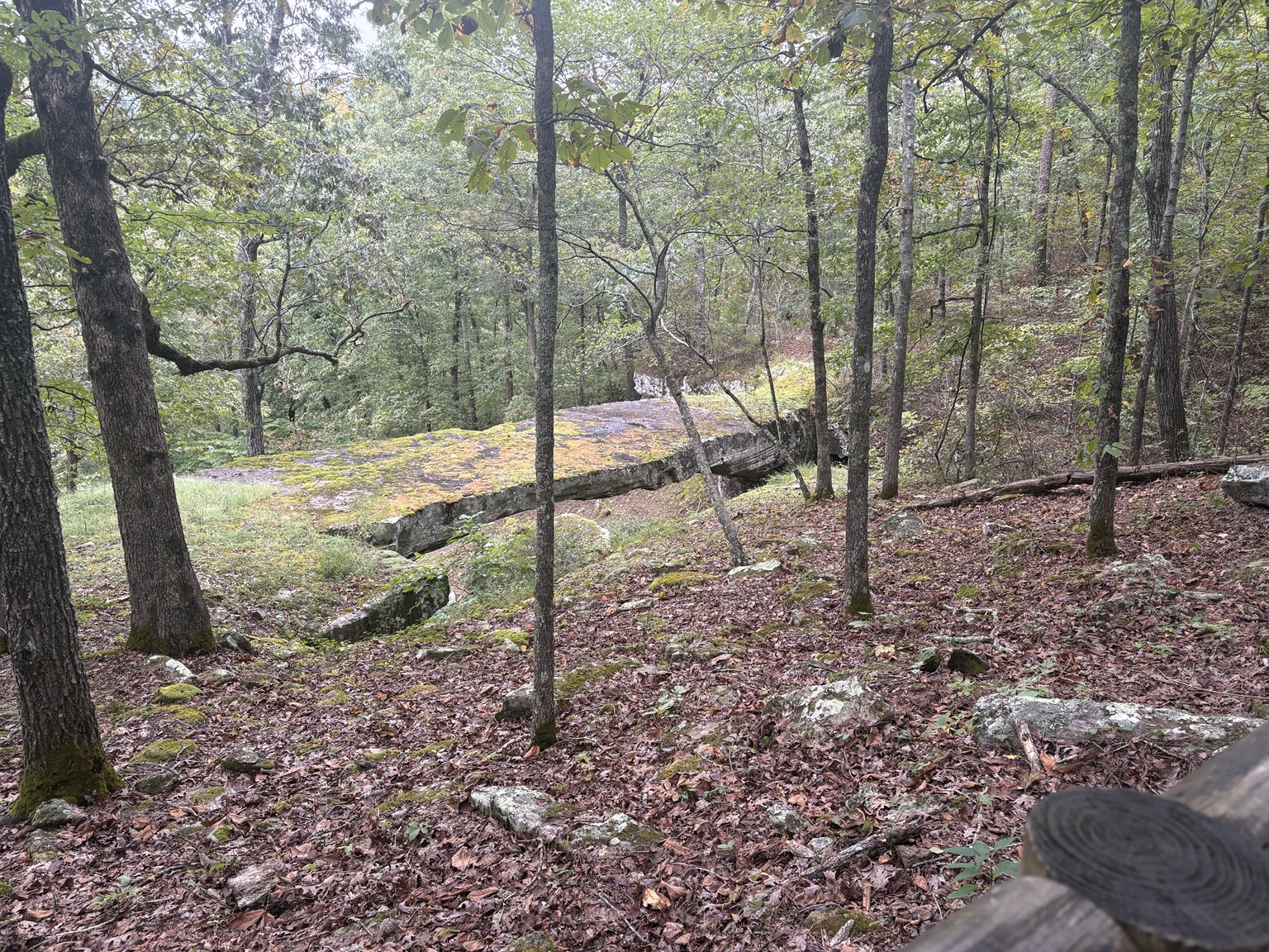 Natural stone bridge surrounded by leafy trees.